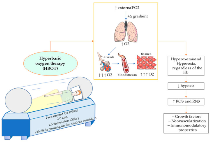 An external file that holds a picture, illustration, etc. Object name is medicina-57-00864-g001.jpg